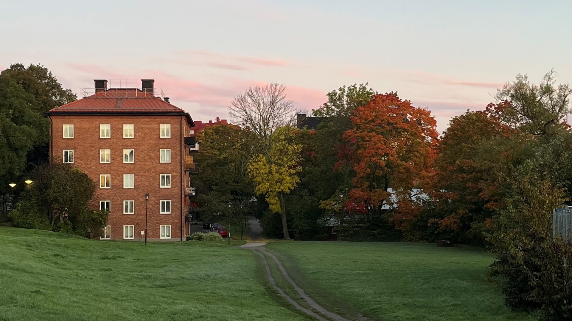 flerfamiljshus i höstfärgad grönska