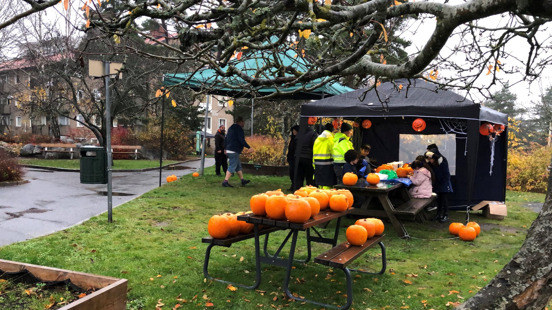 Bord med pumpor, människor i partytält 