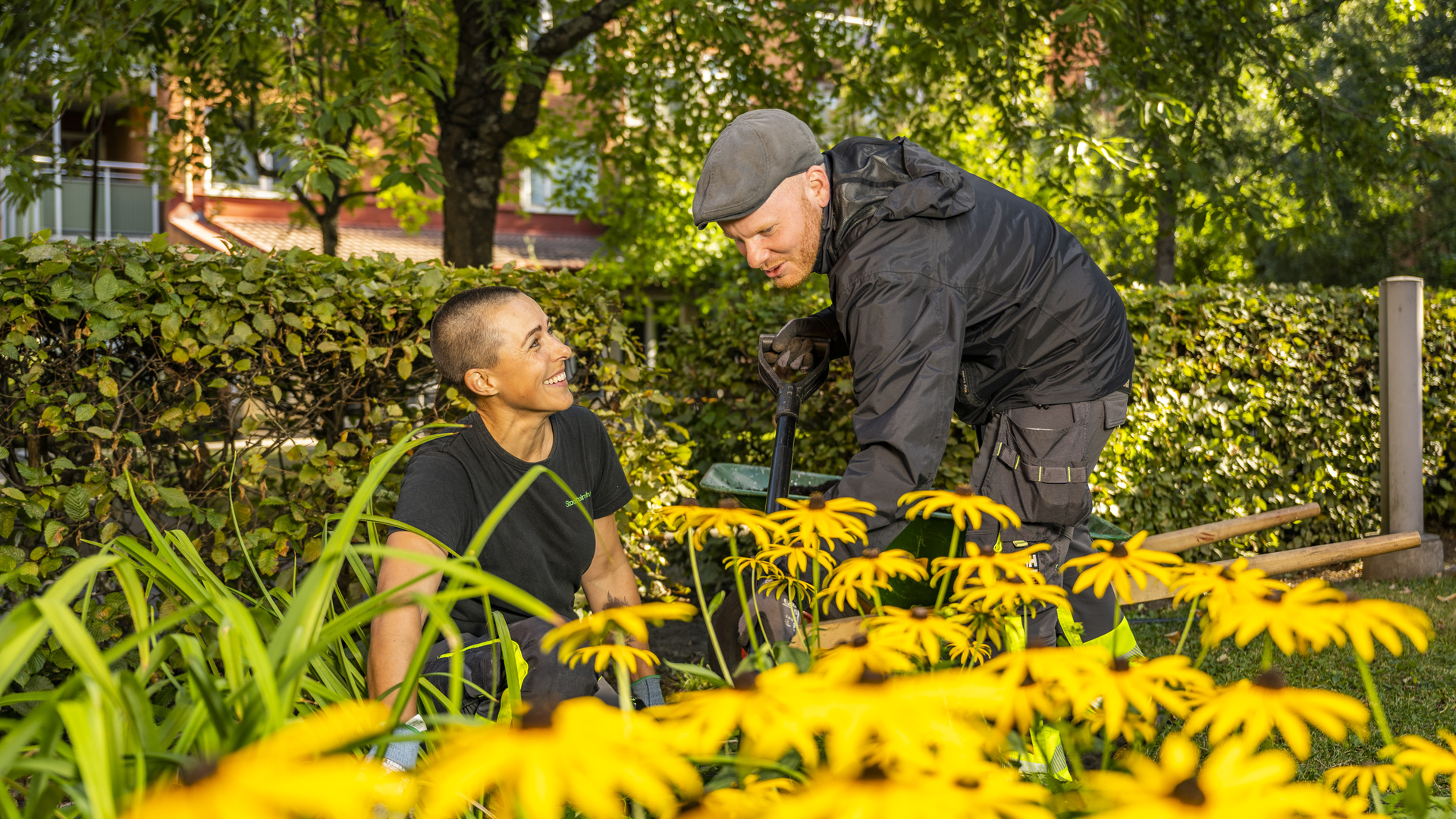 Kvinna och man i blomsterrabatt