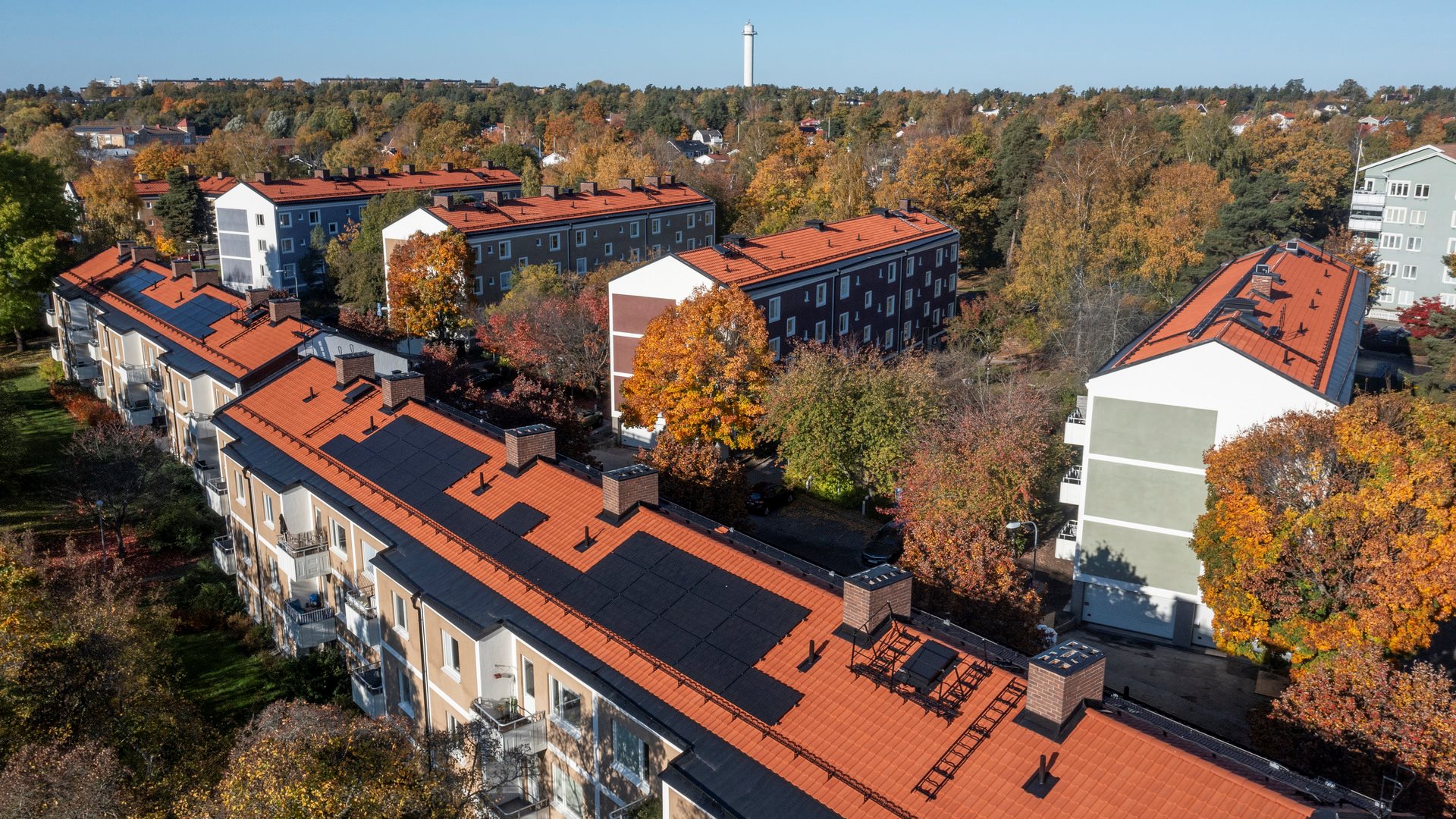 Flygfoto av hustak med solceller i höstgrönska