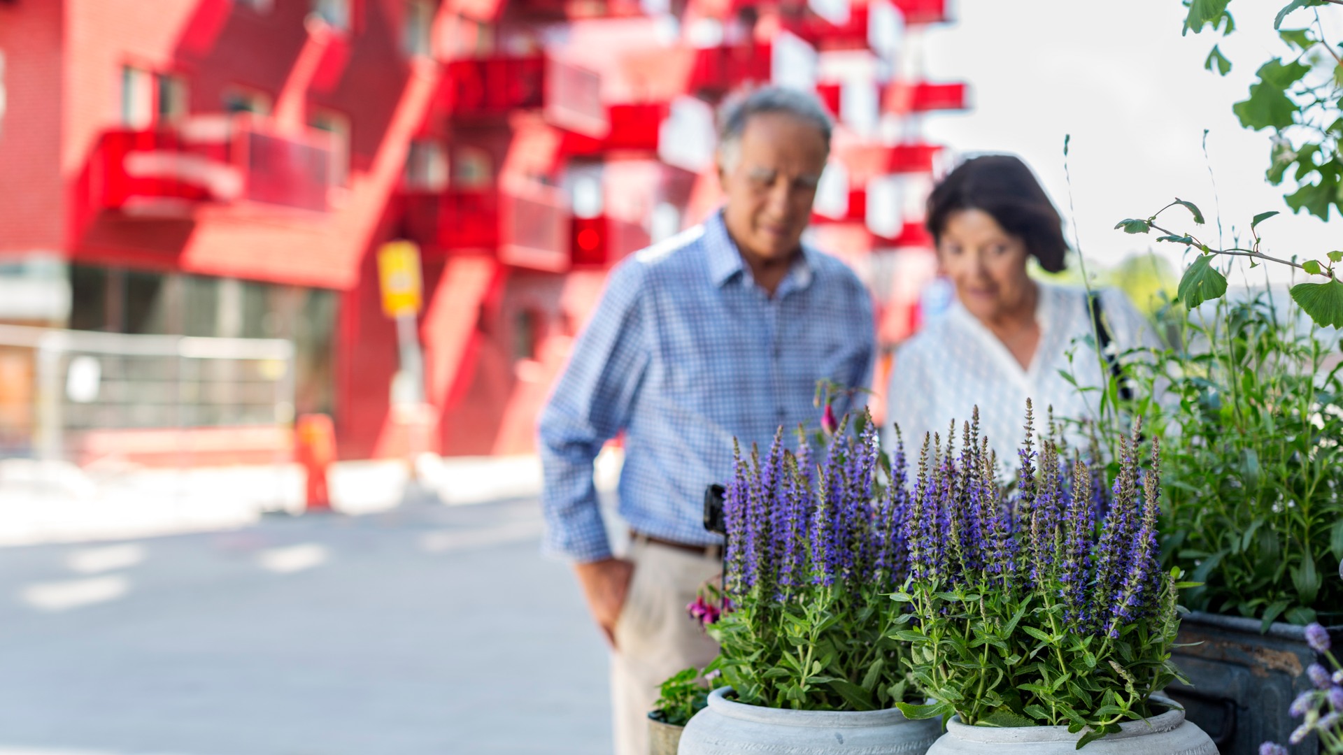 Äldre par kollar blommor utanför butik