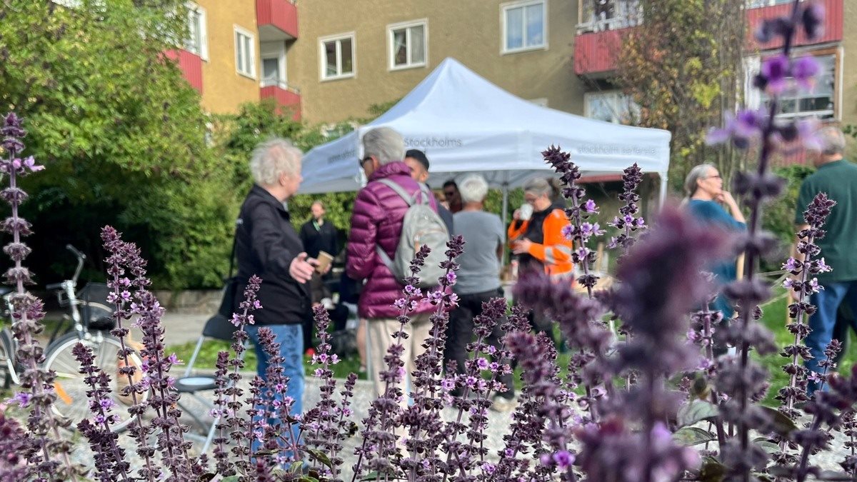Blommor i förgrunden, i bakgrunden människor vid ett eventtält.