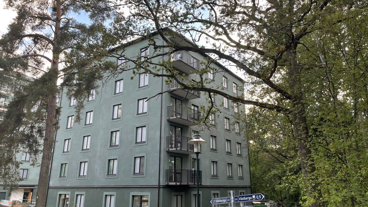 Grön husfasad bland träd